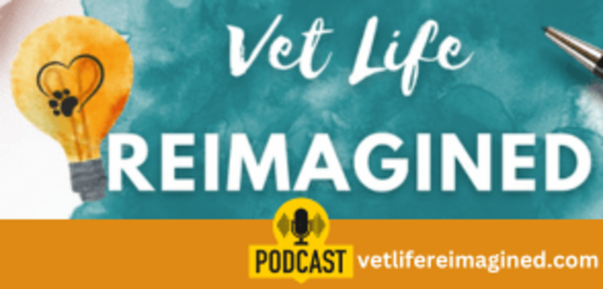 Vet Life Reimagined Podcast